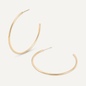 Large Gold hoop earrings